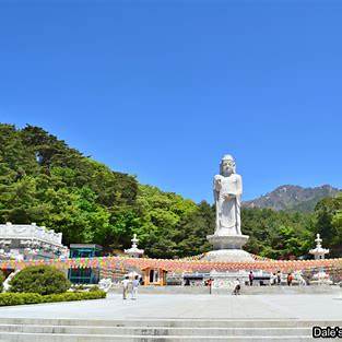 팔공산 탐사 ② 동화사—기도가 ‘개인’에서 ‘우리’로 커질 때